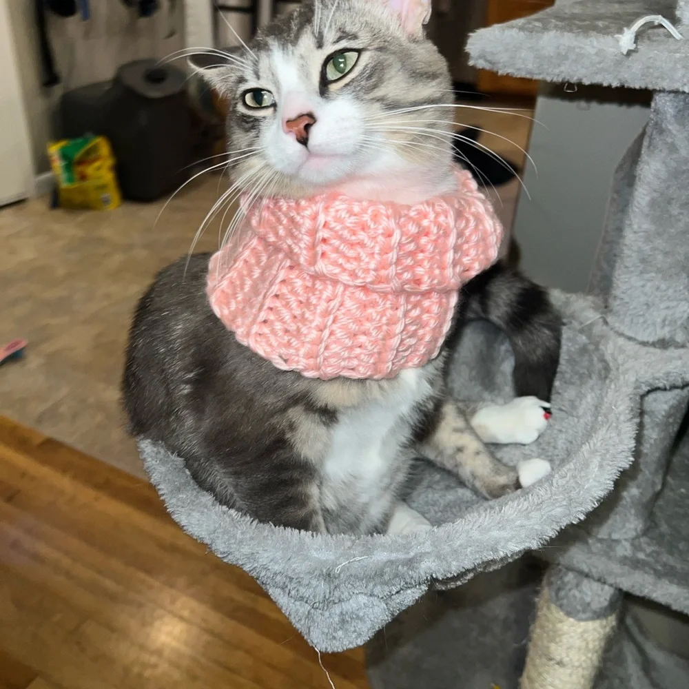 Homemade crochet cat neck warmer very Comy yarn